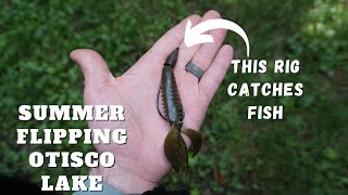 Summer Grass Flipping for Huge Largemouths  Otisco Lake [upl. by Eislel]