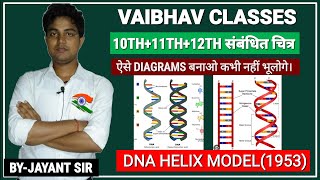 DNA की संरचना बनाएं आसान तरीके सेStructure of DNADNA and RNAWatson and Crick DNA model [upl. by Azriel214]