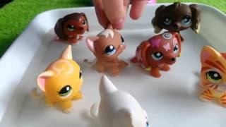 LPS  quotZakręceniquot 16 Littlest Pet Shop [upl. by Sremlahc]