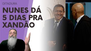 KASSIO NUNES dá 5 DIAS para XANDÃO explicar a LAMBANÇA que ELE FEZ com o BLOQUEIO do X no BRASIL [upl. by Erdnua]