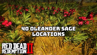 40 Oleander Sage Locations in Red Dead Redemption 2 [upl. by Diahann234]