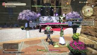 Final Fantasy XIV  PS4 Gameplay 1080p60fps [upl. by Ahseyk]