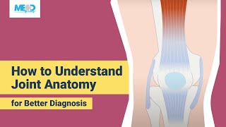 How to understand joint anatomy for better diagnosis [upl. by Corabella]