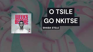 Shaba Stele  O Tsile Go Nkitse Official Visualiser [upl. by Areid]