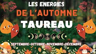 TAUREAU 🍁 AUTOMNE 2024🍁 message pour toitaureauautomne2024 [upl. by Oludoet]