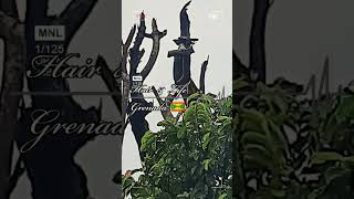 Grenada vlog turmadapakaraka funnyshorts grenada lostsound caribbean 473 automobile anime [upl. by Keele67]