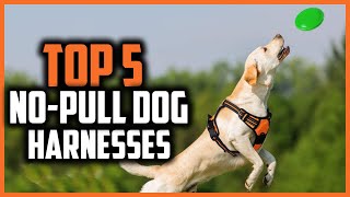 ✅ Top 5 Best No Pull Dog Harnesses of 2024 [upl. by Moira]