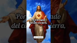 Fuente Diario de Sor Faustina Kowalska  jesus misericordia divinamisericordia [upl. by Fulks]