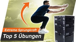 Sprungkraft Training  5 Übungen für extreme Sprungkraft  Andiletics [upl. by Charo345]