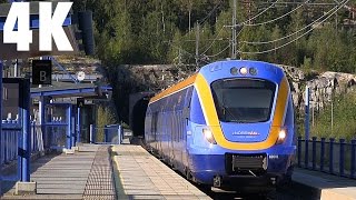 Trains Norrtåg X62 Husum Sweden 4K [upl. by Stetson]