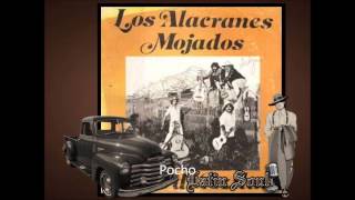 Los Alacranes Pocho [upl. by Suixela]