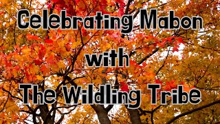 Celebrating Mabon with The Wildling Tribe  The Story of Mabon Culhwch and Olwen [upl. by Yllac]