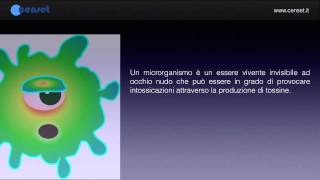 Video Ufficiale Ordine Tecnologi Alimentari full versionFood technologist board video full version [upl. by Saxet103]