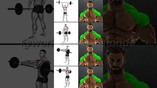 BARBELL SHOULDER WORKOUTS Build MASSIVE Shoulders [upl. by Rector504]