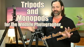 Monopods and Tripods for Wildlife What I Look for [upl. by Alroi]