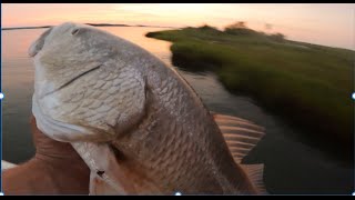 Fishing for Red Drum on the Chesapeake bay in the Carolina Skiff [upl. by Dias334]