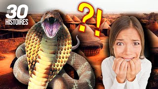 Un serpent terrorise un village 🐍😱  les histoires insolites [upl. by Aydan]