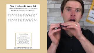 Weird gypsy jazz lick harmonica lesson for G diatonic harmonica [upl. by Sadinoel]