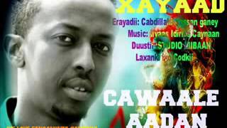 Cawaale Aadan Hees Cusub Xayaad [upl. by Oniram]