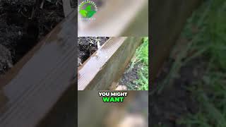 Protect Your Garden Against Voles 🚫 Dont Let These Sneaky Pests Destroy Your Plants 🌱 [upl. by Wunder]