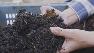 DIY Compost Bin Turn a Garbage Can into Gold [upl. by Haroppiz]