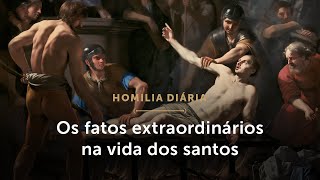 Homilia Diária  Os sinais da verdadeira santidade Festa de São Lourenço [upl. by Annetta137]