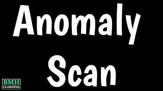 Anomaly Scan Test  Anatomy Scan  20week Ultrasound  level 2 Ultrasound  MidPregnancy Scan [upl. by Niliak]