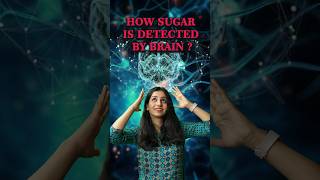 How sugar is detected by brain neet csirnet sugar diabetes science sciencefact gate biology [upl. by Buckler]