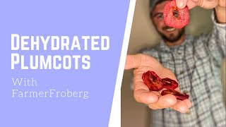 Dehydrated Plumcots with Farmer Froberg [upl. by Leoine447]