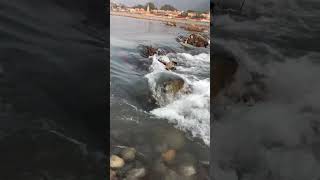 Everything You Wanted to Know About Haridwar How Haridwar warShorts Sortsfeed Instagram YouTube [upl. by Shirlene]