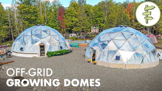 Brilliant OffGrid Geodesic Greenhouse Perfect for Homesteading amp 4 Season Food Production [upl. by Bebe355]