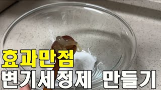 효과만점 가성비최고인 변기세정제만들기 [upl. by Elbertine]