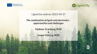 The combination of lignin and electronics – opportunities and challenges [upl. by Weaks]