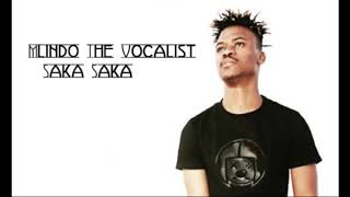 Mlindo The Vocalist Saka Saka [upl. by Rudwik]