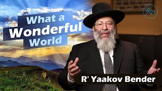 What a Wonderful World  Rabbi Yaakov Bender [upl. by Shannon]