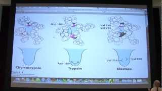 12 Biochemistry Catalytic Mechanisms I Lecture for Kevin Aherns BB 450550 [upl. by Yawnoc]