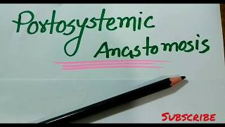 How to Draw Portosystemic Anastomosis Easily  Portosystemic Anastomosis Bangla Demonstration [upl. by Audi]