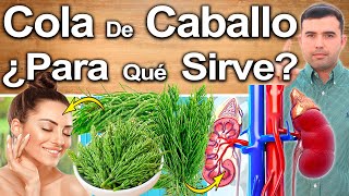 COLA DE CABALLO ¿Para Qué Sirve  Beneficios Para Tu Salud Y Belleza [upl. by Israel]