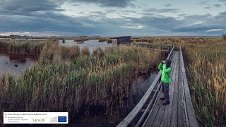 Der Neusiedler See und sein Schilfgürtel [upl. by Tdnarb]