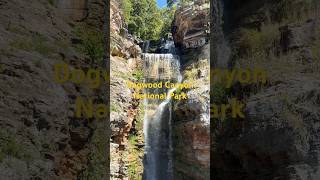 Dogwood Canyon in Missouri nationalpark missouri travel placestosee usa roadtrip hike park [upl. by Dahc]