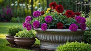 Planting Late Summer Containers 2024 [upl. by Enella]