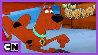 Fii calm Scooby Doo  Vedete de cinema  Cartoon Network [upl. by Zonnya420]