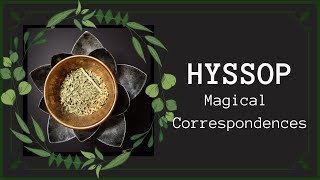 Hyssop Correspondences amp Uses In Magical Practice  Hyssopus Officinalis  Witchcraft [upl. by Enilorak]