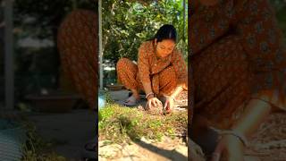 আপনাদের সাহায্য আমার খুব দরকার music relaxingmusic nature reel shortvideo shorts reels [upl. by Ahsel]