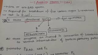 Arabinose Operon Part 1 Dr Preeti Dharmik [upl. by Yelrehs]