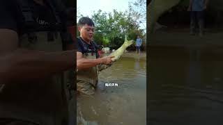 Bandhobir sathe mach dhorte giye ja holo 😲😜shorts shortsfeed fishing [upl. by Zetneuq]