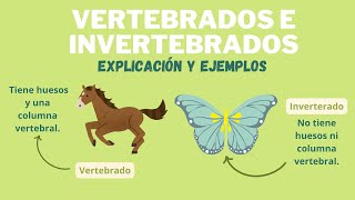 LOS ANIMALES VERTEBRADOS E INVERTEBRADOS [upl. by Crim]