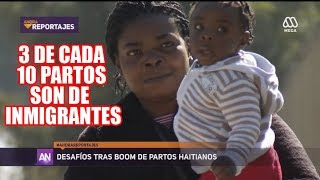 ¿Es demasiado Aumento de partos Haitianos en Chile  Reportaje 13092017 [upl. by Budding630]