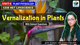 Vernalization in Plants  Botany  Plant Physiology  CSIR NET GATE DBTMSc [upl. by Niltiak]