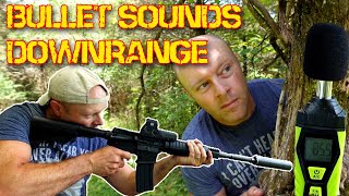 What do bullets sound like downrange subsonic suppressed vs supersonic [upl. by Yroggerg]